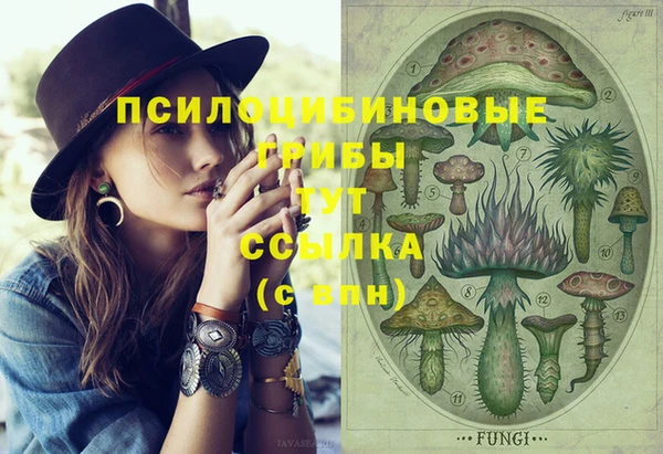 дурь Медвежьегорск